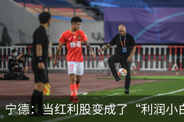 宁德：当红利股变成了“利润小白兔”？